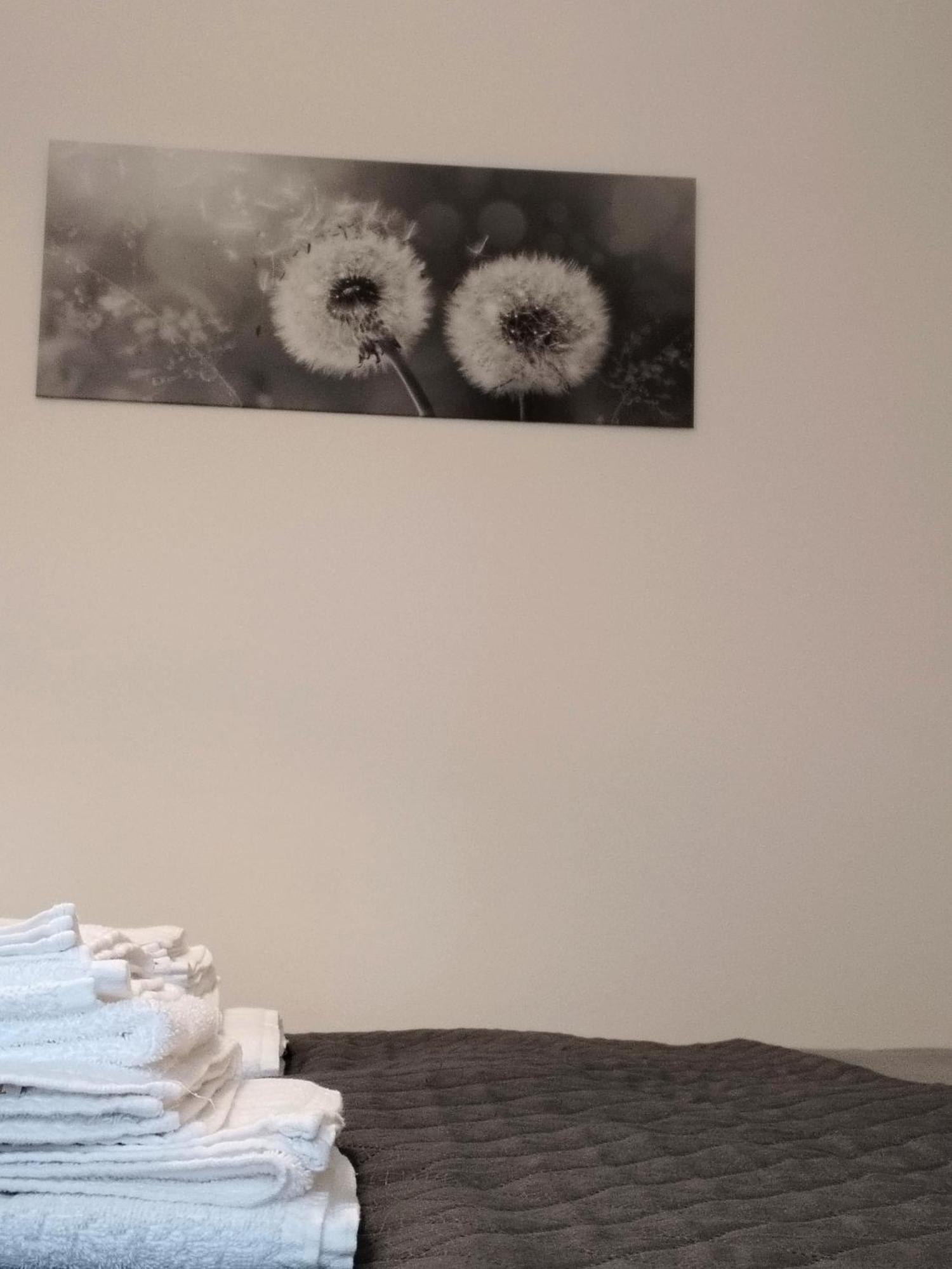 Appartamento Nonna Milde อัสซิซี ภายนอก รูปภาพ
